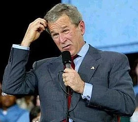 Bush