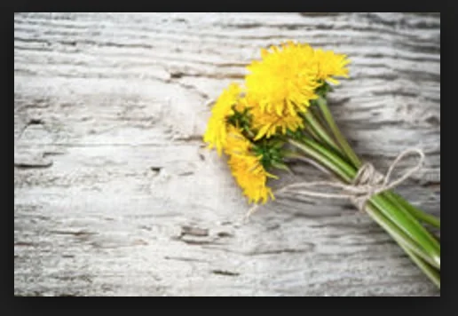 Dandelion