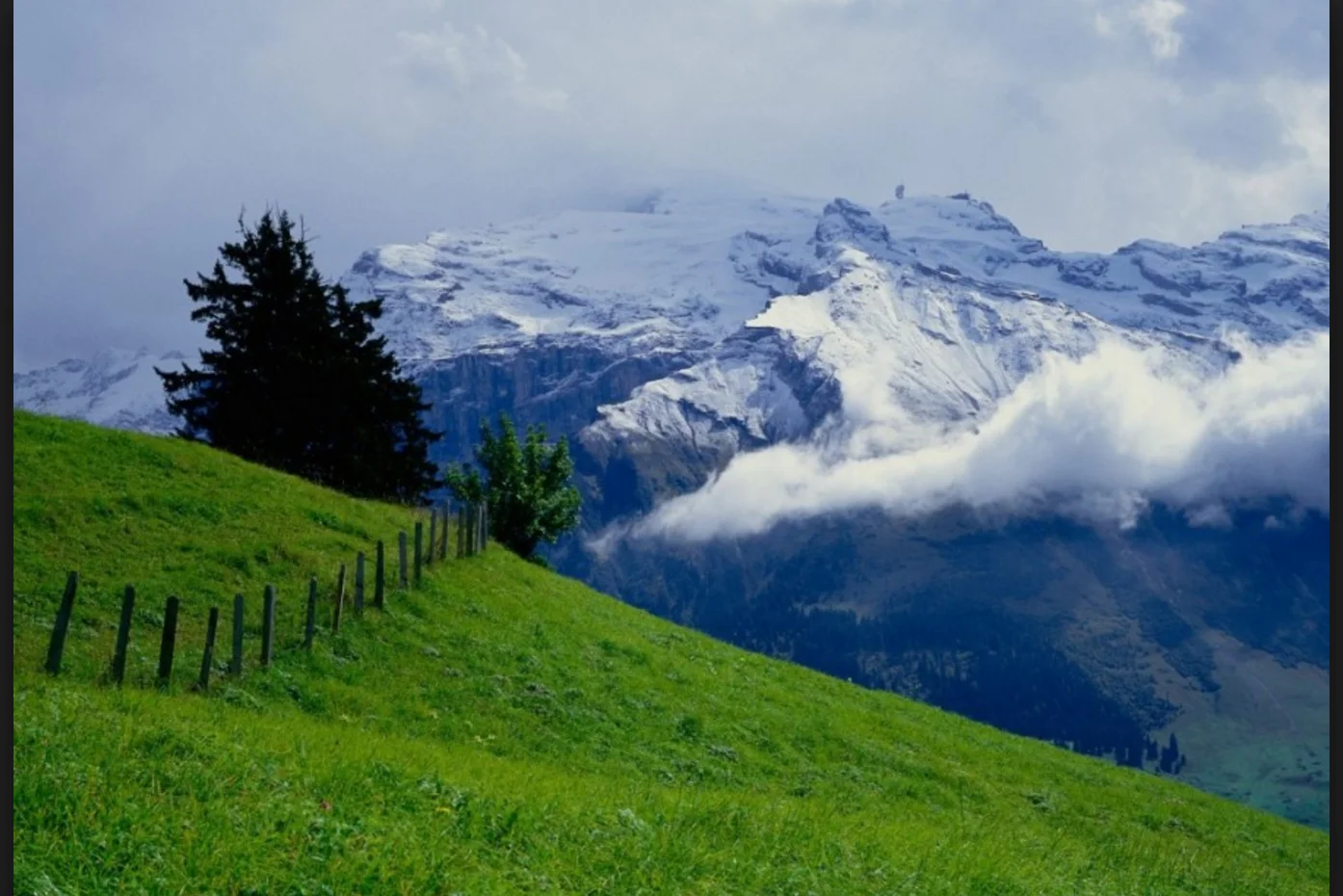 nature pic